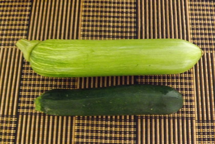 上がエホバック、下がズッキーニ